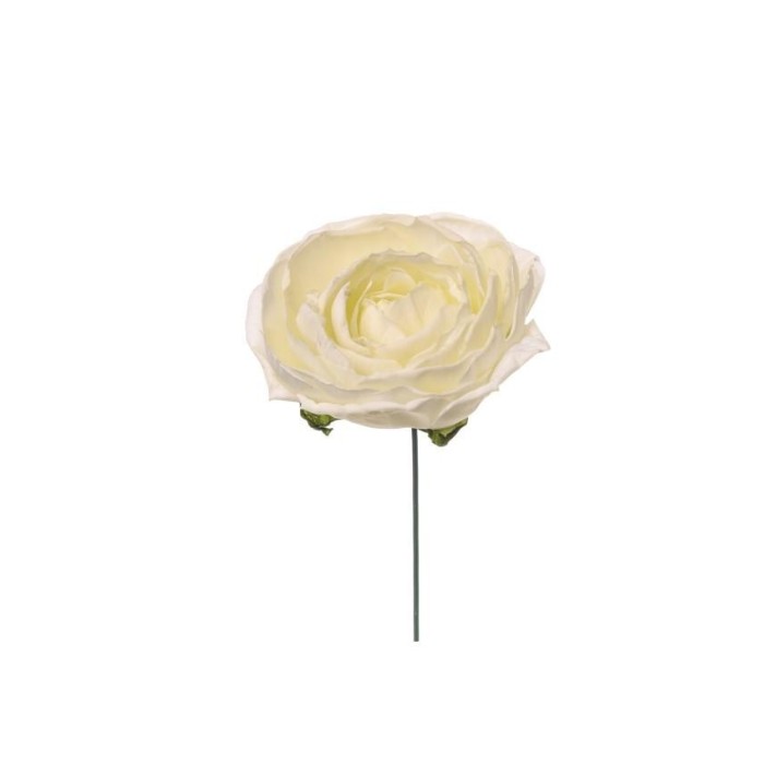 PICK RANUNCOLO WHITE